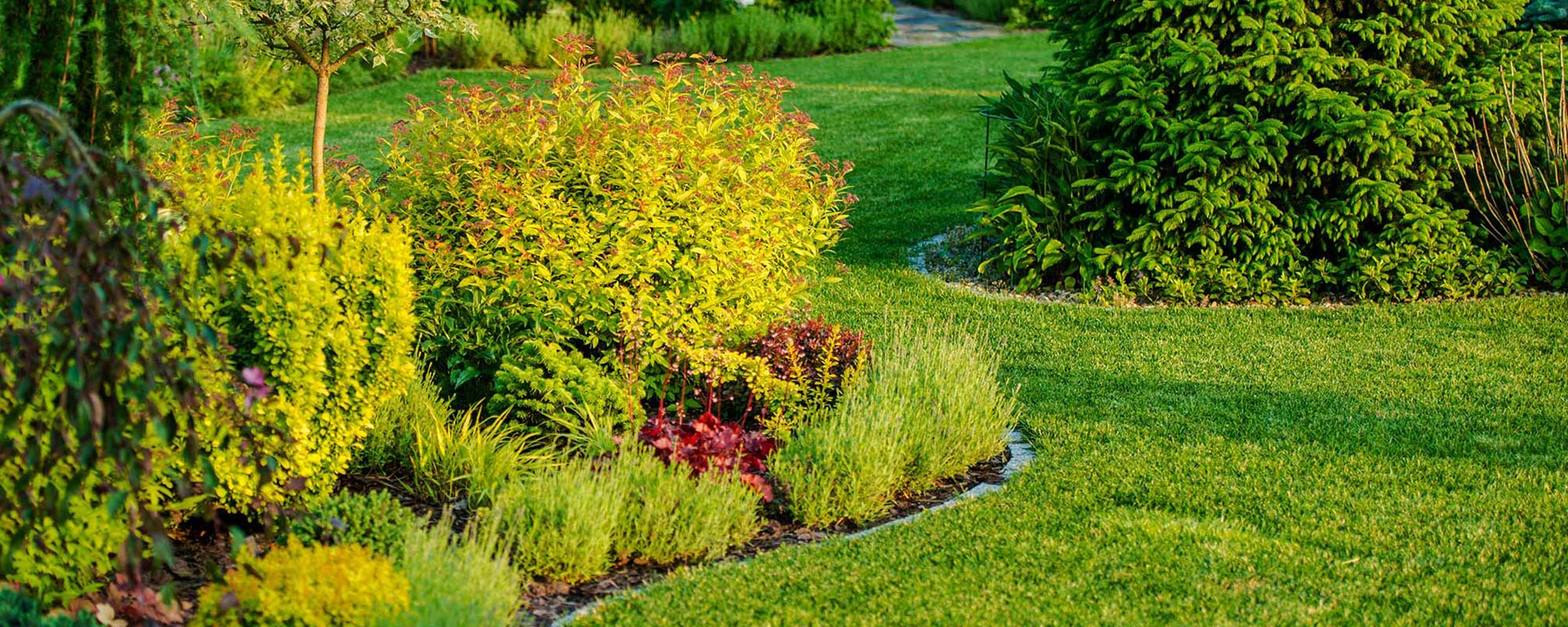 Express Mowing Franchise For Sale