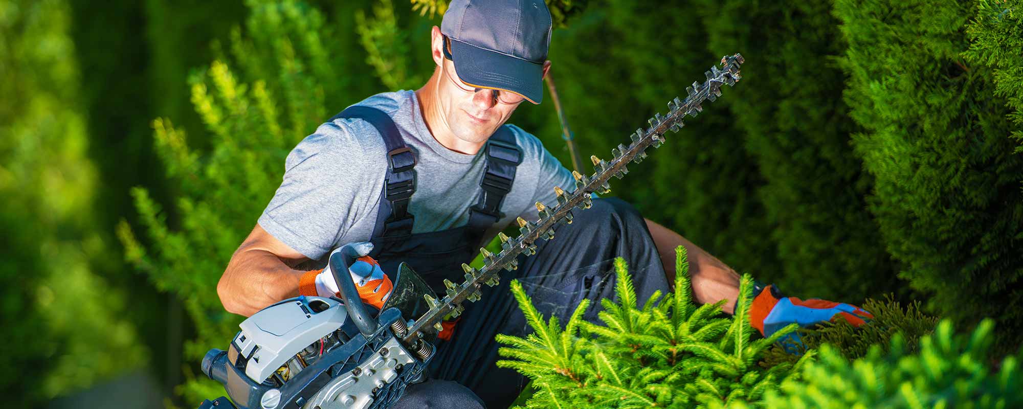 Jim S Mowing Franchise Cost Vip Lawn For How I Start A Lawn Mowing Business Gardening Franchise