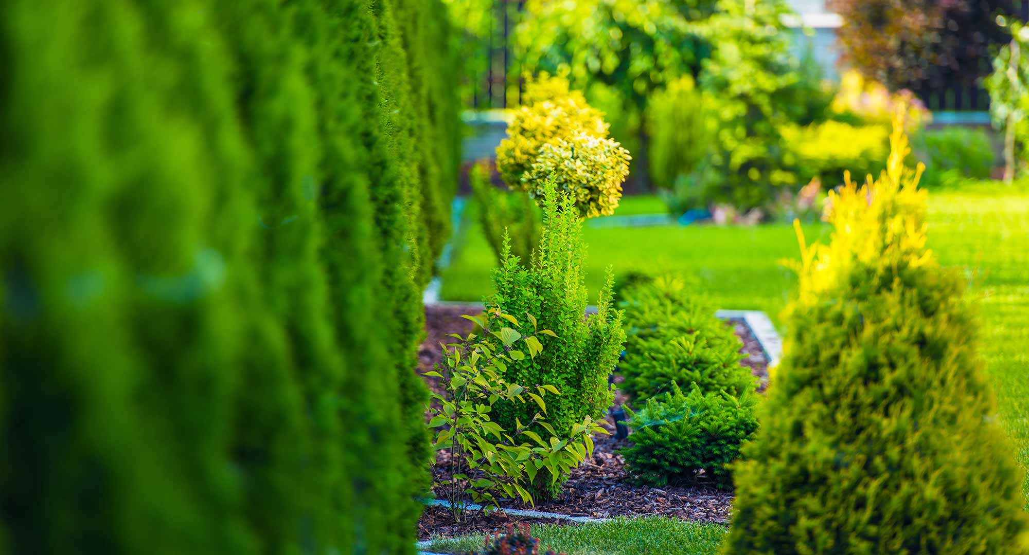 How much do I charge for lawn mowing