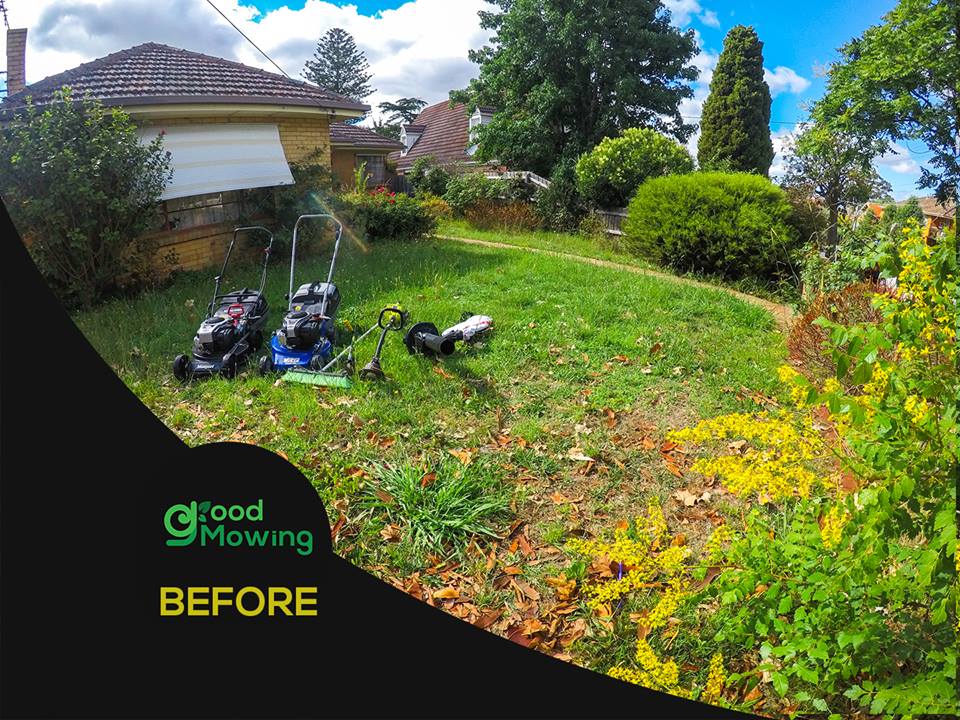Jim S Mowing Franchise Cost Vip Lawn For Mowing Franchise For