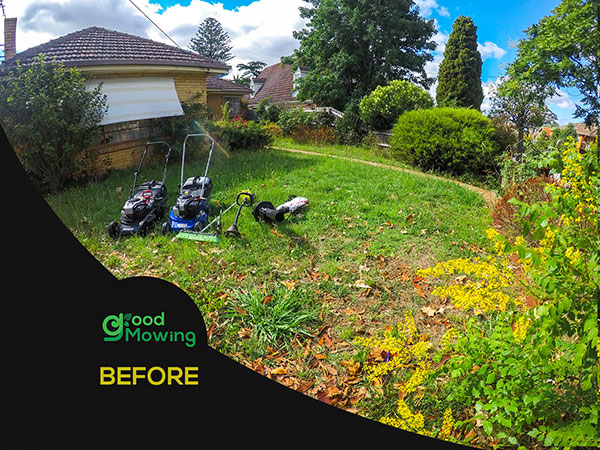 goodmowing-ivanhoe
