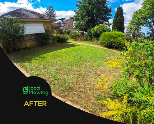 lawnmowing-ivanhoe-east