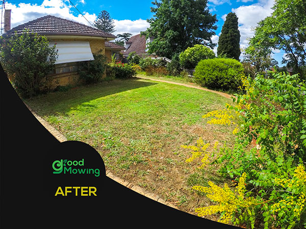 lawnmowing-ivanhoe-east