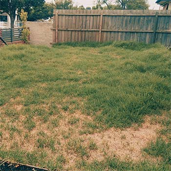 Grass cutting services south morang