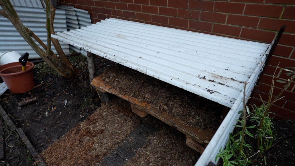 Maintenance-Tasks-in-my-Kitchen-Garden-Melbourne