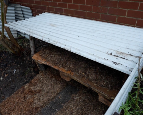 Maintenance-Tasks-in-my-Kitchen-Garden-Melbourne